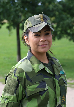 Försvarmakten.png