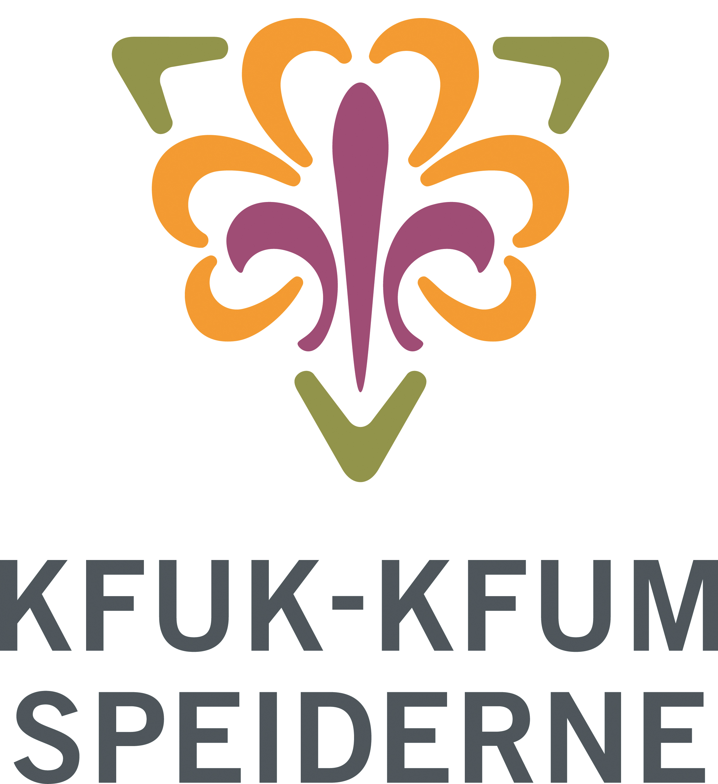 KMspeider_logo.jpg